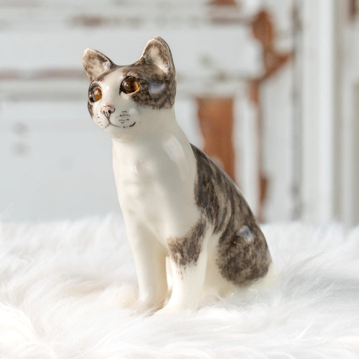 【Winstanley Cat ウィンスタンレイ キャット】大きくてキラキラした瞳に吸い込まれそう シルバータビー サバトラ猫 /25L