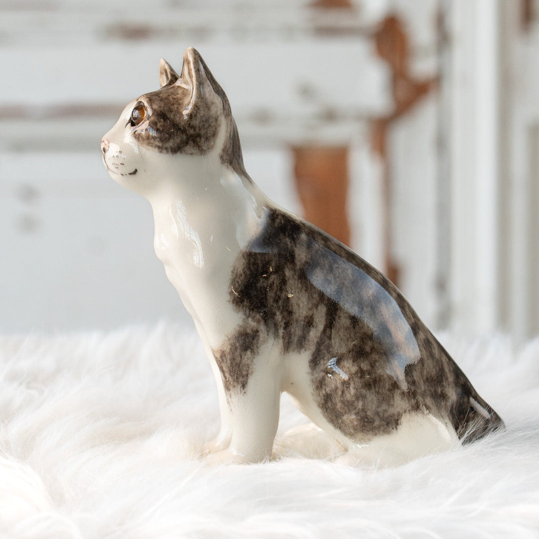 【Winstanley Cat ウィンスタンレイ キャット】大きくてキラキラした瞳に吸い込まれそう シルバータビー サバトラ猫 /25L