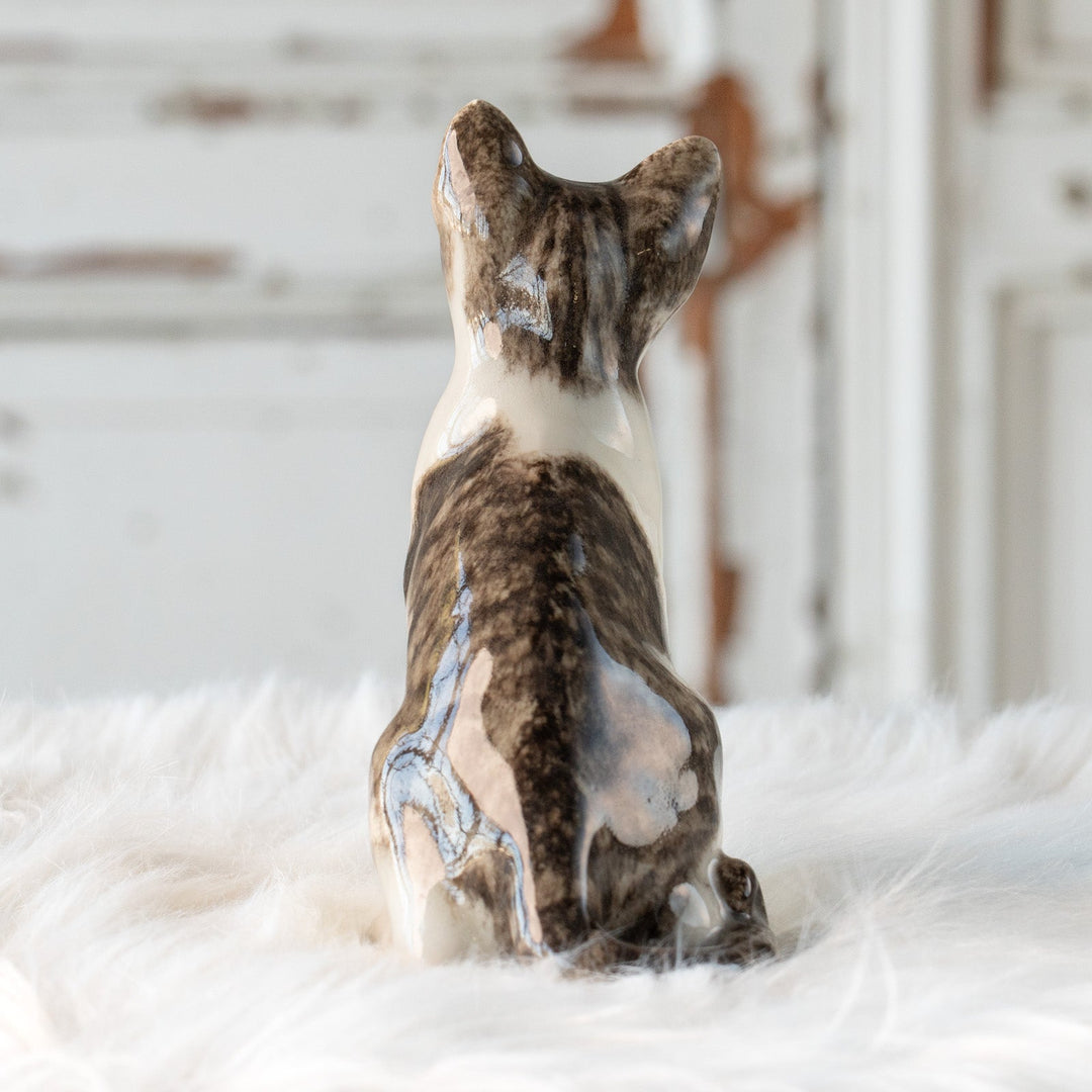 【Winstanley Cat ウィンスタンレイ キャット】大きくてキラキラした瞳に吸い込まれそう シルバータビー サバトラ猫 /25L