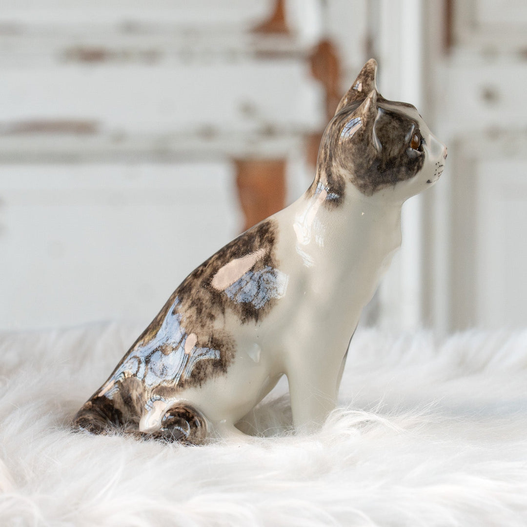 【Winstanley Cat ウィンスタンレイ キャット】大きくてキラキラした瞳に吸い込まれそう シルバータビー サバトラ猫 /25L