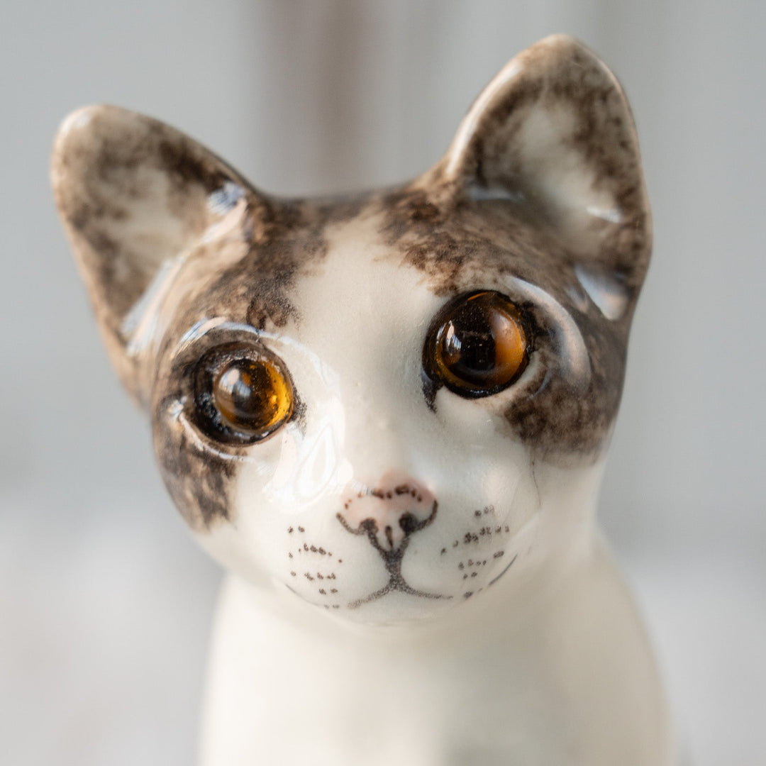 【Winstanley Cat ウィンスタンレイ キャット】大きくてキラキラした瞳に吸い込まれそう シルバータビー サバトラ猫 /25L
