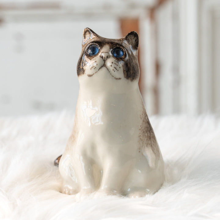 【Winstanley Cat ウィンスタンレイ キャット】どっしりしたフォルムがたまらない可愛さ ブルーアイ サイアミーズ シャム猫 /25L