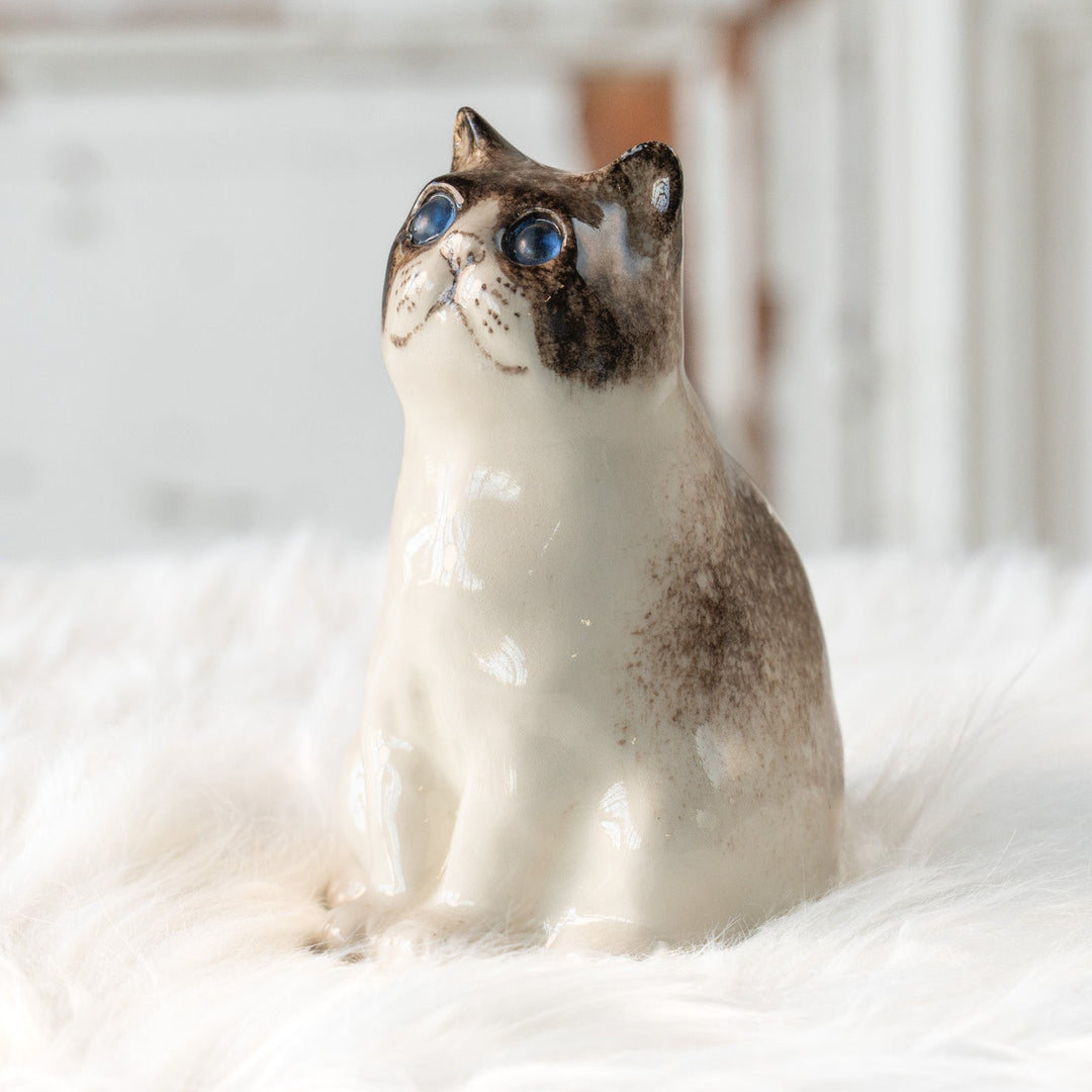 【Winstanley Cat ウィンスタンレイ キャット】どっしりしたフォルムがたまらない可愛さ ブルーアイ サイアミーズ シャム猫 /25L