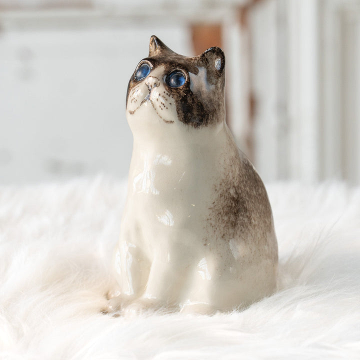 【Winstanley Cat ウィンスタンレイ キャット】どっしりしたフォルムがたまらない可愛さ ブルーアイ サイアミーズ シャム猫 /25L