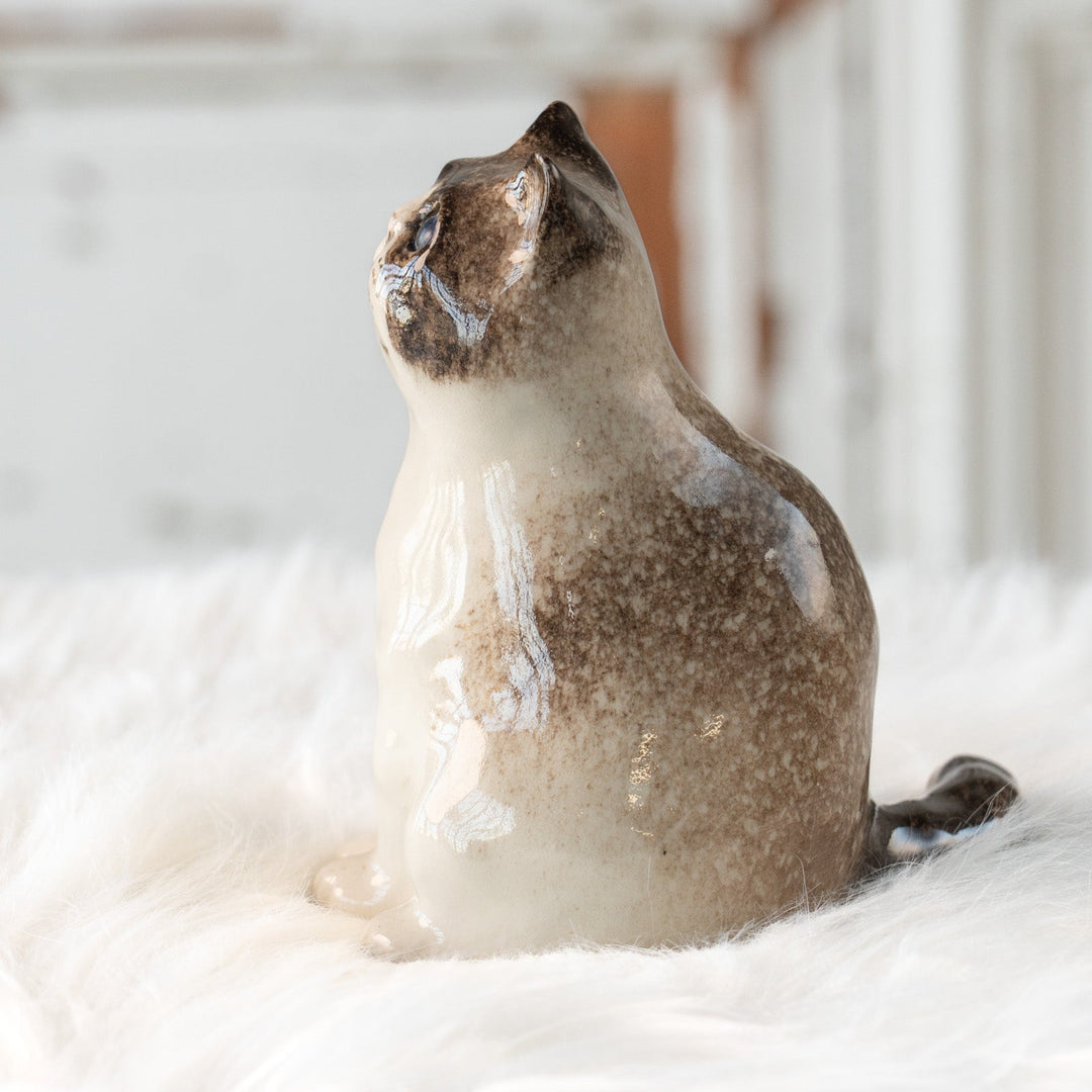 【Winstanley Cat ウィンスタンレイ キャット】どっしりしたフォルムがたまらない可愛さ ブルーアイ サイアミーズ シャム猫 /25L