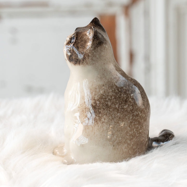 【Winstanley Cat ウィンスタンレイ キャット】どっしりしたフォルムがたまらない可愛さ ブルーアイ サイアミーズ シャム猫 /25L