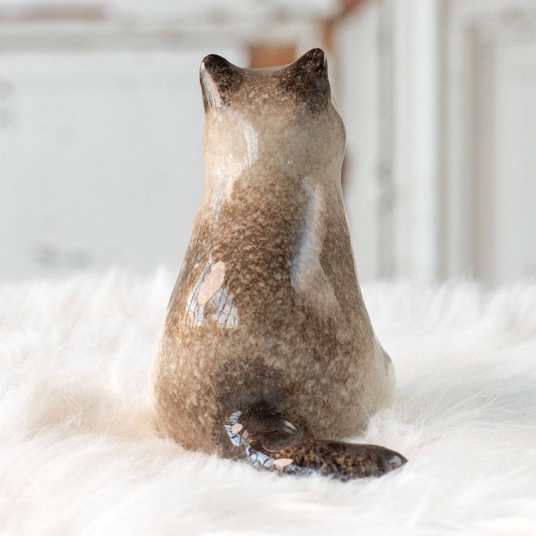 【Winstanley Cat ウィンスタンレイ キャット】どっしりしたフォルムがたまらない可愛さ ブルーアイ サイアミーズ シャム猫 /25L