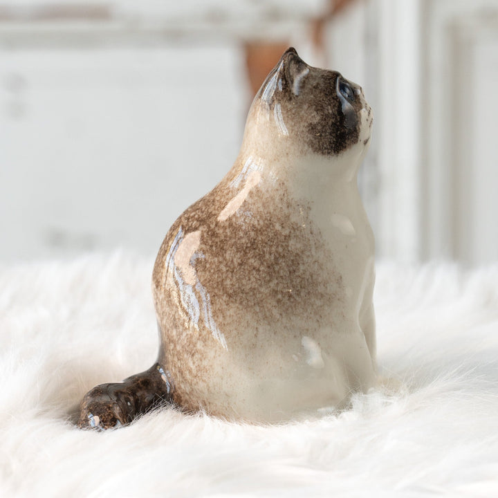 【Winstanley Cat ウィンスタンレイ キャット】どっしりしたフォルムがたまらない可愛さ ブルーアイ サイアミーズ シャム猫 /25L