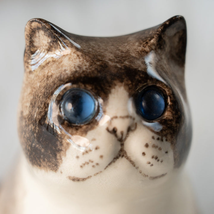 【Winstanley Cat ウィンスタンレイ キャット】どっしりしたフォルムがたまらない可愛さ ブルーアイ サイアミーズ シャム猫 /25L