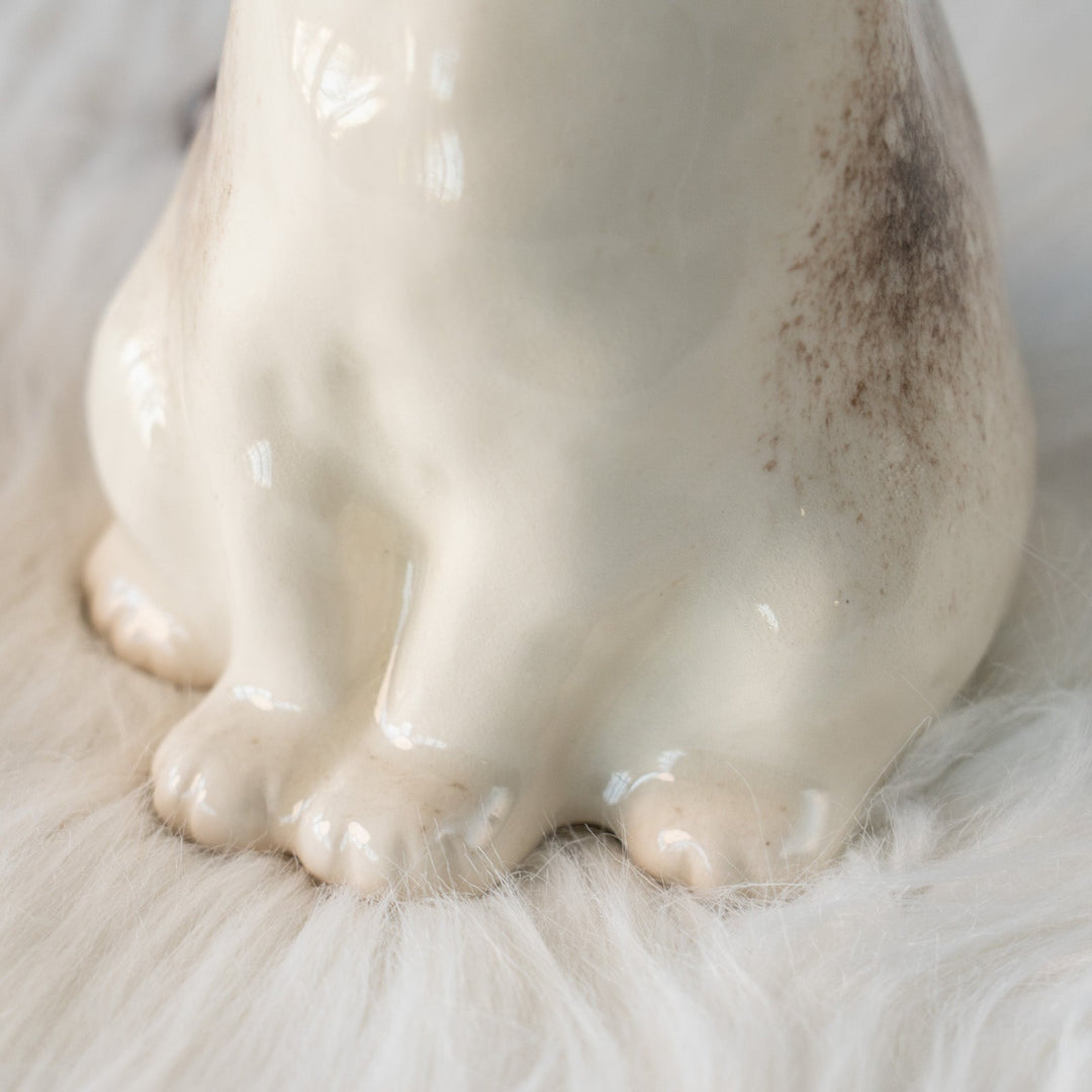 【Winstanley Cat ウィンスタンレイ キャット】どっしりしたフォルムがたまらない可愛さ ブルーアイ サイアミーズ シャム猫 /25L