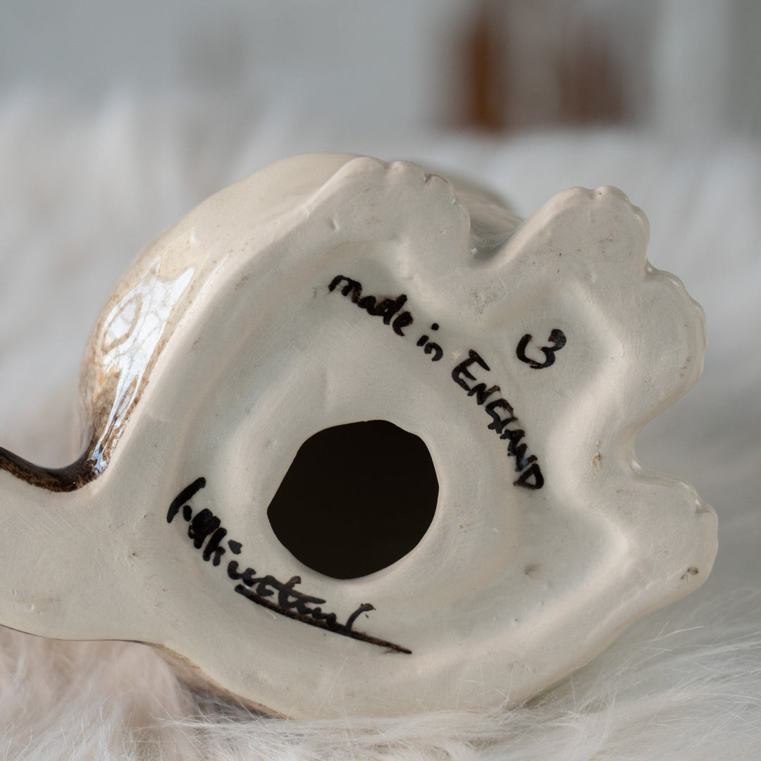 【Winstanley Cat ウィンスタンレイ キャット】どっしりしたフォルムがたまらない可愛さ ブルーアイ サイアミーズ シャム猫 /25L