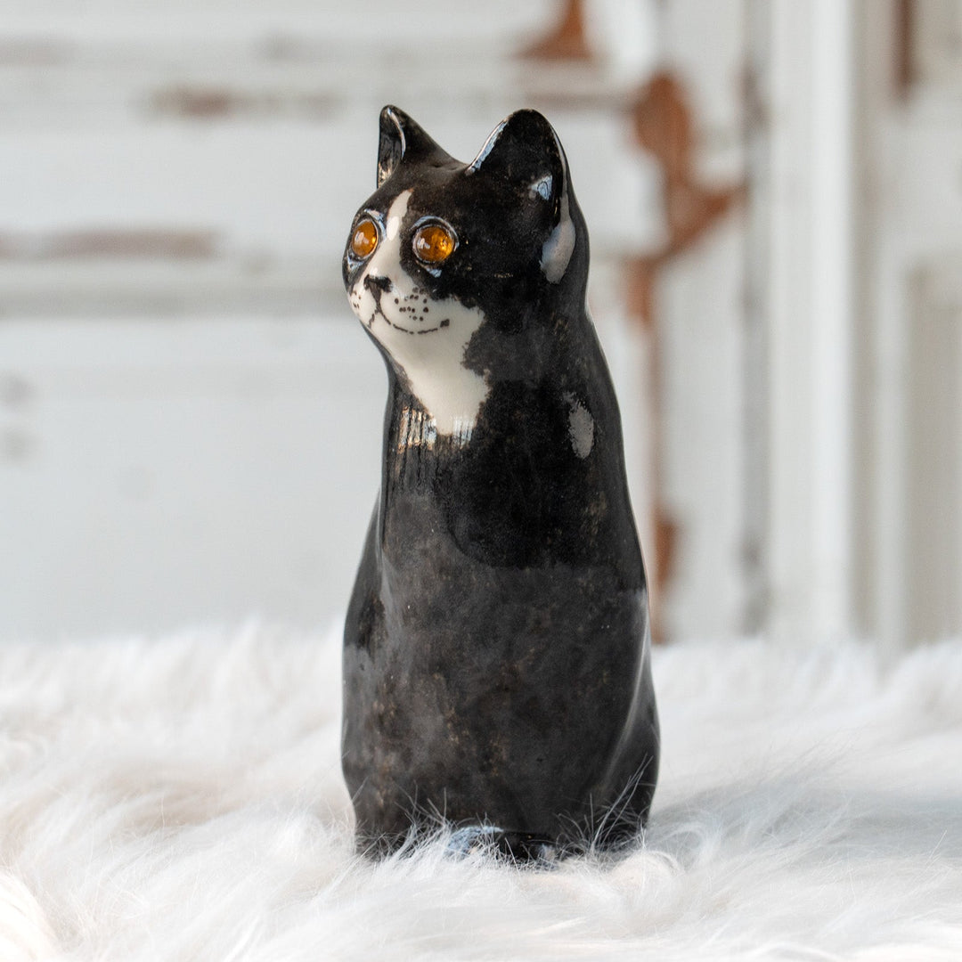 【Winstanley Cat ウィンスタンレイ キャット】気品のある顔立ちとフォルムが魅力 タキシード 白黒猫 /25L