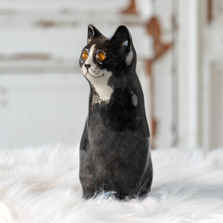 【Winstanley Cat ウィンスタンレイ キャット】気品のある顔立ちとフォルムが魅力 タキシード 白黒猫 /25L
