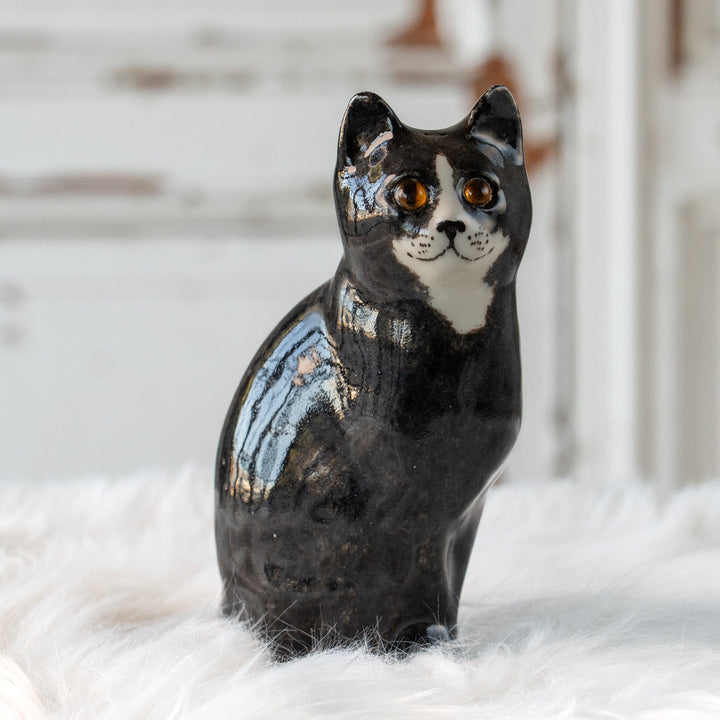 【Winstanley Cat ウィンスタンレイ キャット】気品のある顔立ちとフォルムが魅力 タキシード 白黒猫 /25L