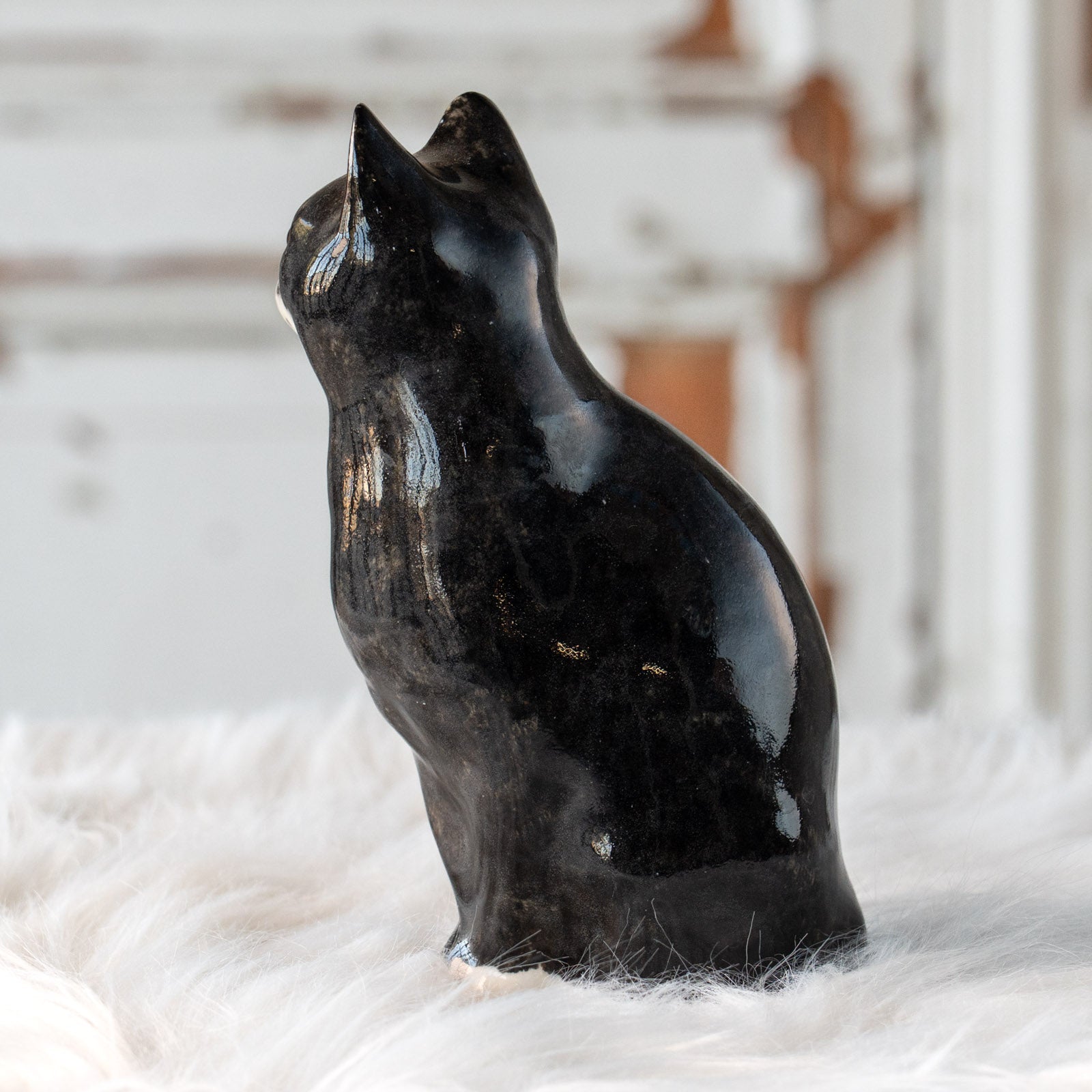 Winstanley Cat ウィンスタンレイ キャット】気品のある顔立ちと