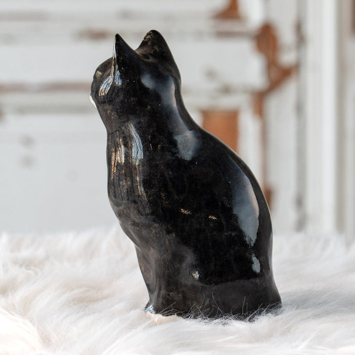 【Winstanley Cat ウィンスタンレイ キャット】気品のある顔立ちとフォルムが魅力 タキシード 白黒猫 /25L