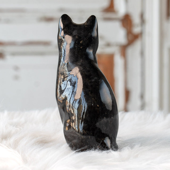 【Winstanley Cat ウィンスタンレイ キャット】気品のある顔立ちとフォルムが魅力 タキシード 白黒猫 /25L