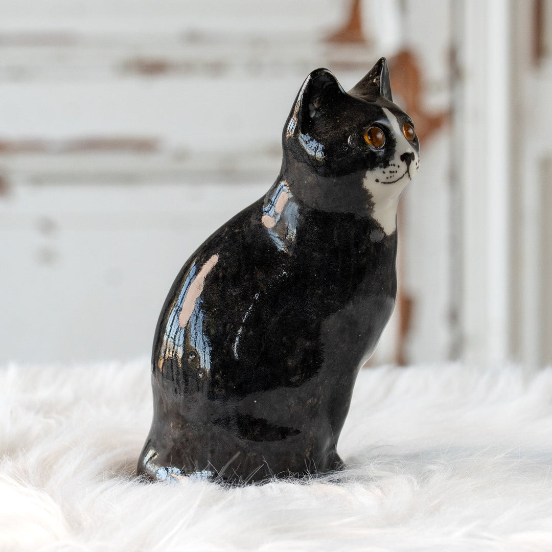 【Winstanley Cat ウィンスタンレイ キャット】気品のある顔立ちとフォルムが魅力 タキシード 白黒猫 /25L