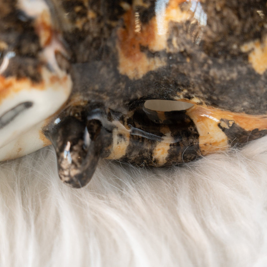 【Winstanley Cat ウィンスタンレイ キャット】木に載せられる仕様のレアモデル トータスシェル チェシャ猫