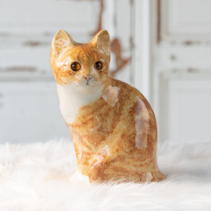 【Winstanley Cat ウィンスタンレイ キャット】座ってこちらを見つめる表情が愛らしい ジンジャー 茶トラ猫 /25L