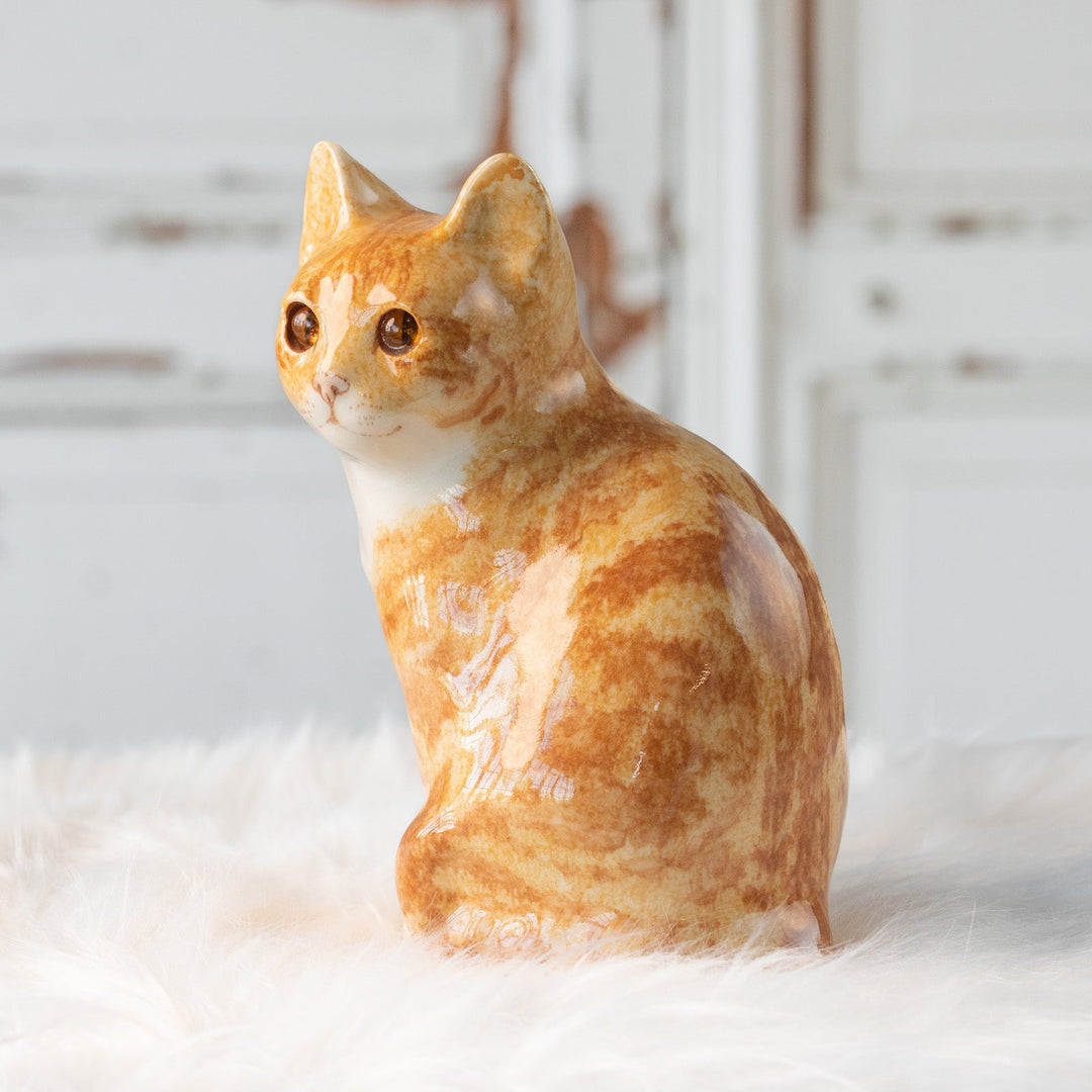 【Winstanley Cat ウィンスタンレイ キャット】座ってこちらを見つめる表情が愛らしい ジンジャー 茶トラ猫 /25L