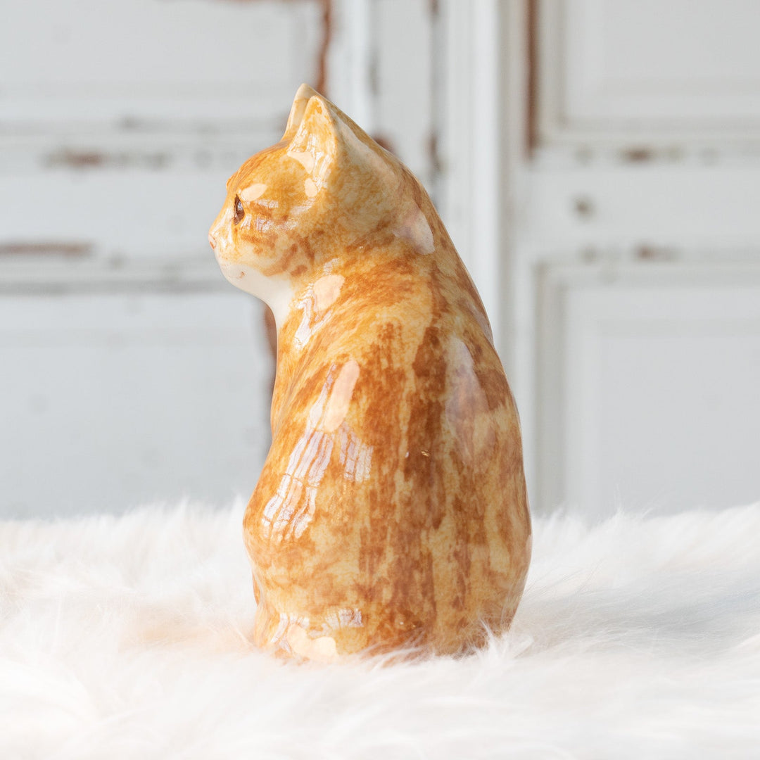 【Winstanley Cat ウィンスタンレイ キャット】座ってこちらを見つめる表情が愛らしい ジンジャー 茶トラ猫 /25L