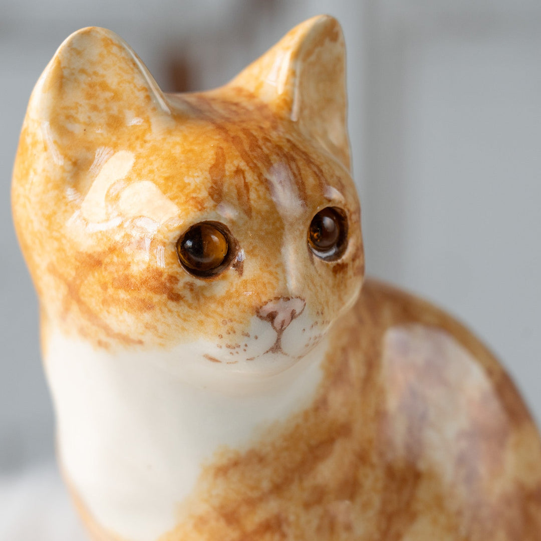 【Winstanley Cat ウィンスタンレイ キャット】座ってこちらを見つめる表情が愛らしい ジンジャー 茶トラ猫 /25L