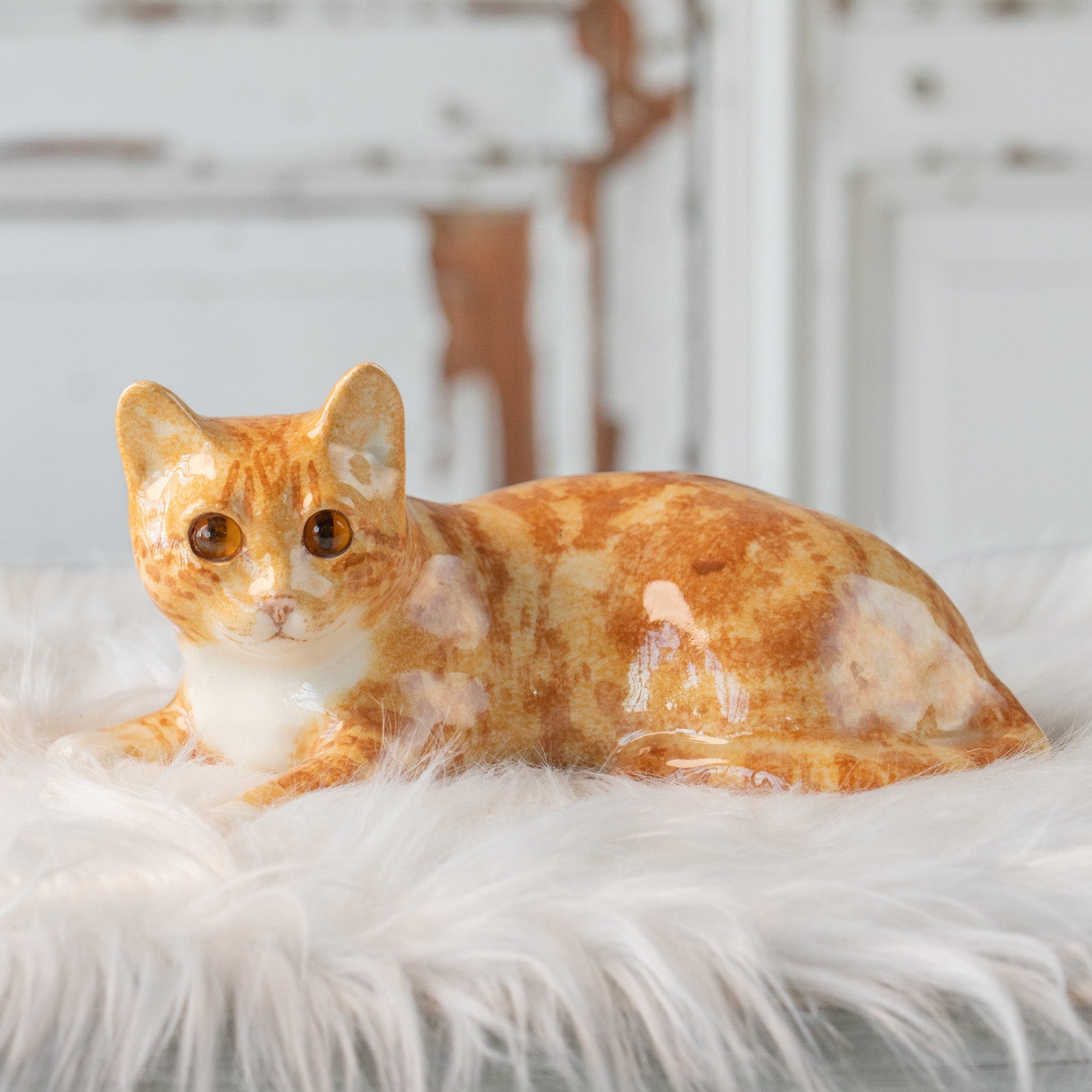 サイズ1相当 ウィンスタンレイキャット 初期と同時期 ジンジャー仔猫