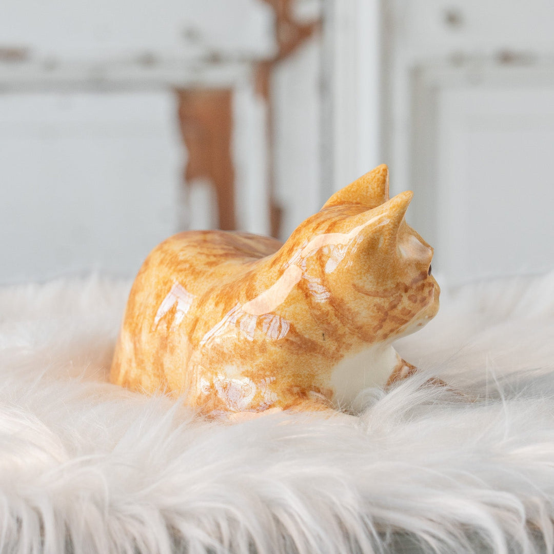 【Winstanley Cat ウィンスタンレイ キャット】ゆったりとくつろぐ姿が愛らしい ジンジャー 茶トラ猫 /25L