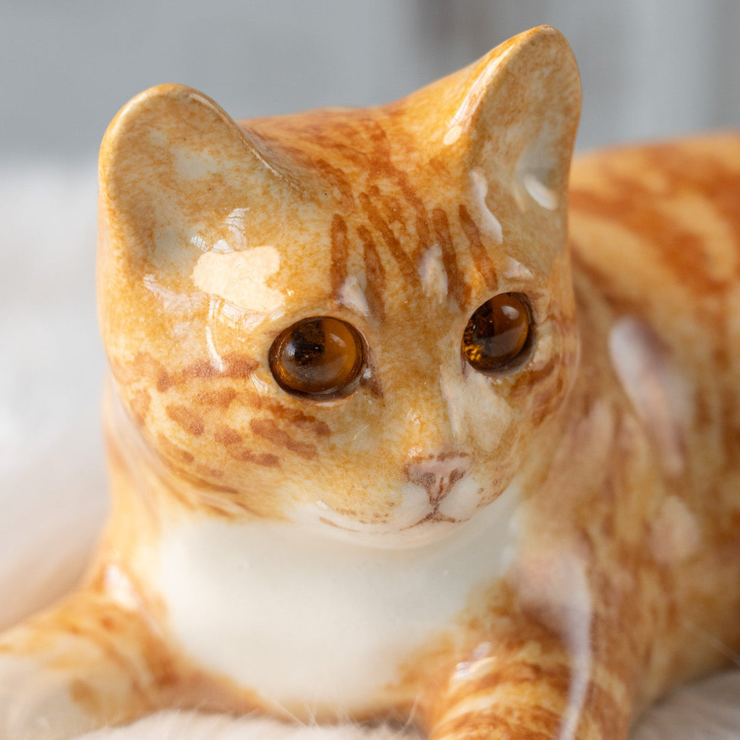【Winstanley Cat ウィンスタンレイ キャット】ゆったりとくつろぐ姿が愛らしい ジンジャー 茶トラ猫 /25L
