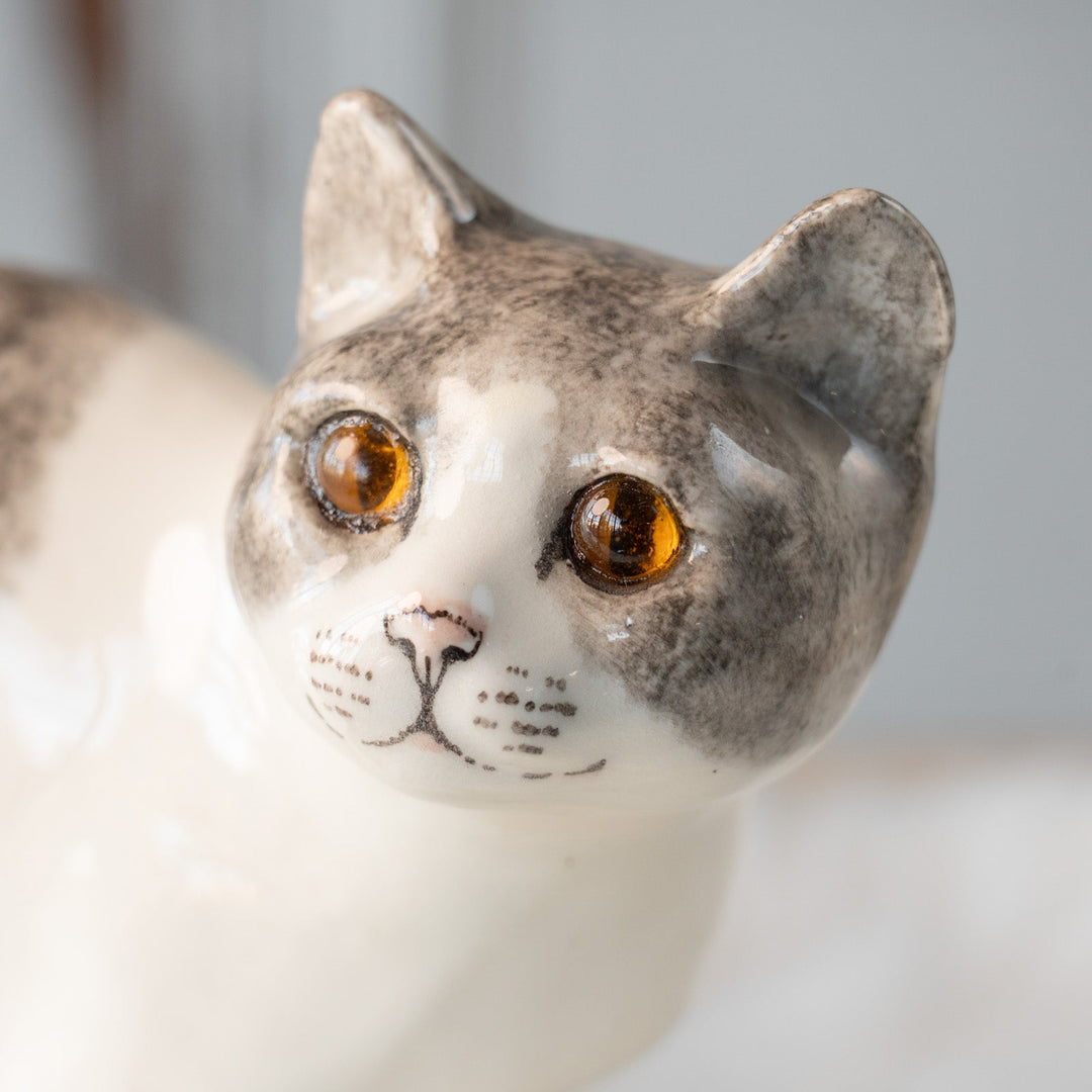 【Winstanley Cat ウィンスタンレイ キャット】丸い顔にくるんとした尻尾がチャーミング バイカラー ブチ猫 /25L