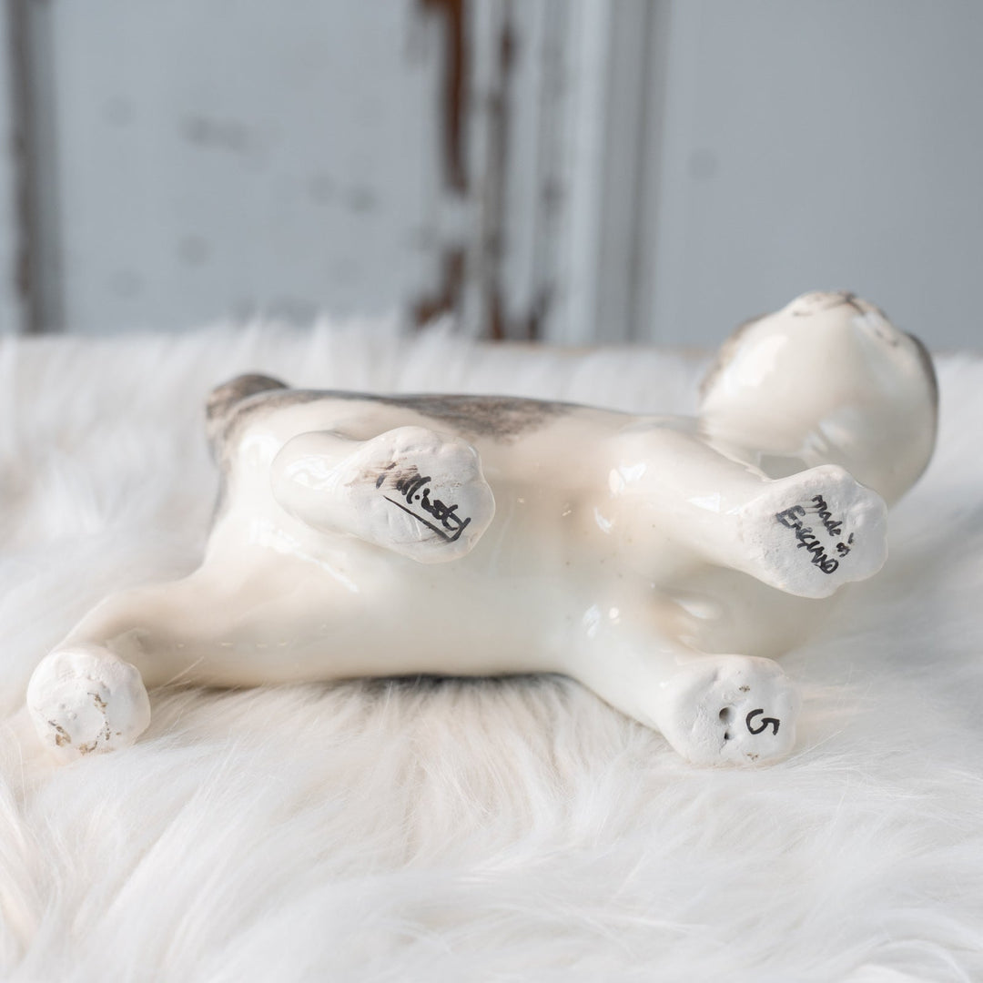 【Winstanley Cat ウィンスタンレイ キャット】丸い顔にくるんとした尻尾がチャーミング バイカラー ブチ猫 /25L