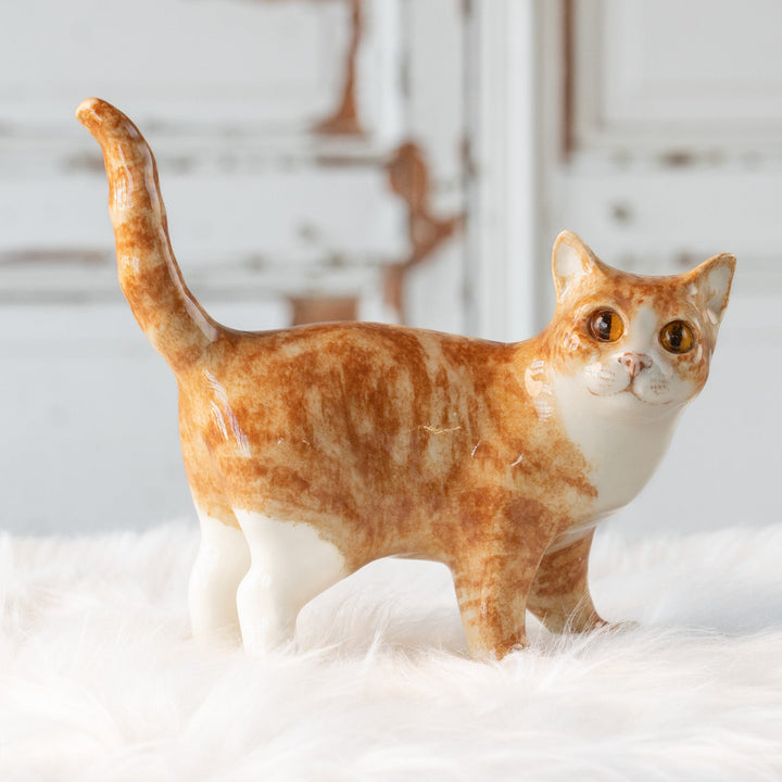 【Winstanley Cat ウィンスタンレイ キャット】しなやかに伸びたしっぽが特徴的 ジンジャー 茶トラ猫 /25L