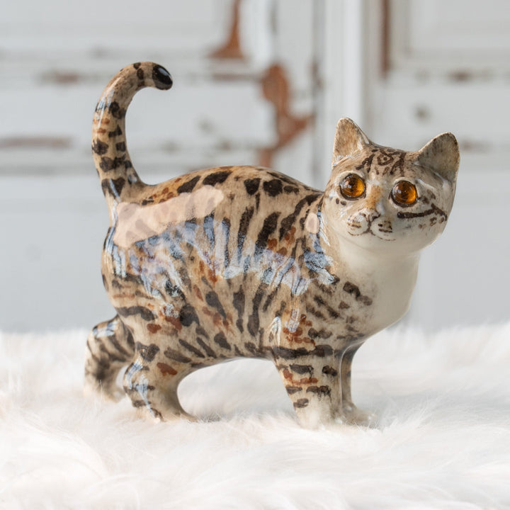 【Winstanley Cat ウィンスタンレイ キャット】丸い顔にくるんとした尻尾がチャーミング ブラウンラビ― キジトラ猫 /25L