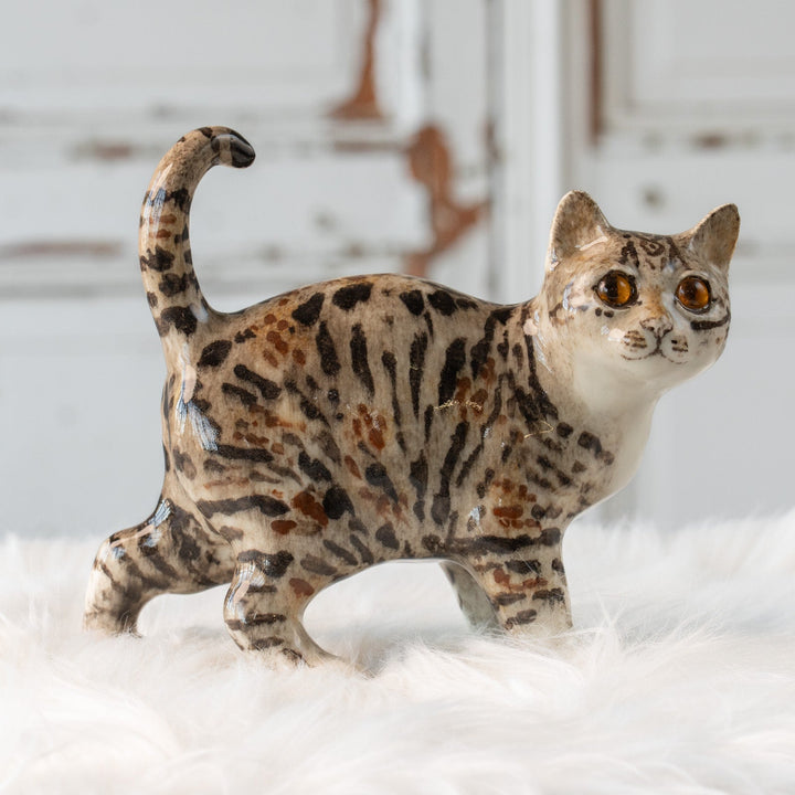 【Winstanley Cat ウィンスタンレイ キャット】丸い顔にくるんとした尻尾がチャーミング ブラウンラビ― キジトラ猫 /25L