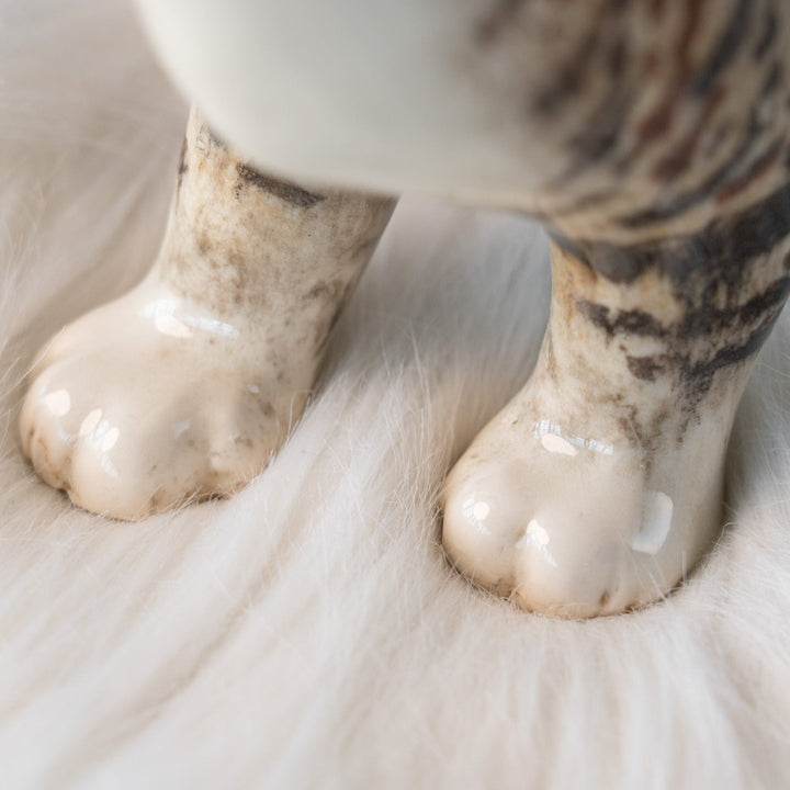 【Winstanley Cat ウィンスタンレイ キャット】丸い顔にくるんとした尻尾がチャーミング ブラウンラビ― キジトラ猫 /25L