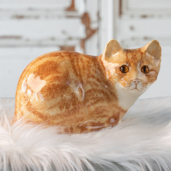 【Winstanley Cat ウィンスタンレイ キャット】丸い背中をなでたくなる ジンジャー 茶トラ猫 /25L
