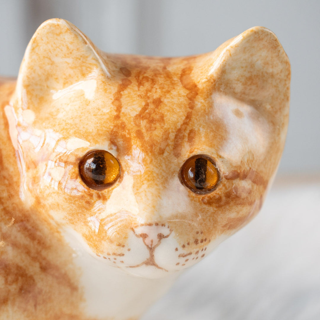【Winstanley Cat ウィンスタンレイ キャット】丸い背中をなでたくなる ジンジャー 茶トラ猫 /25L