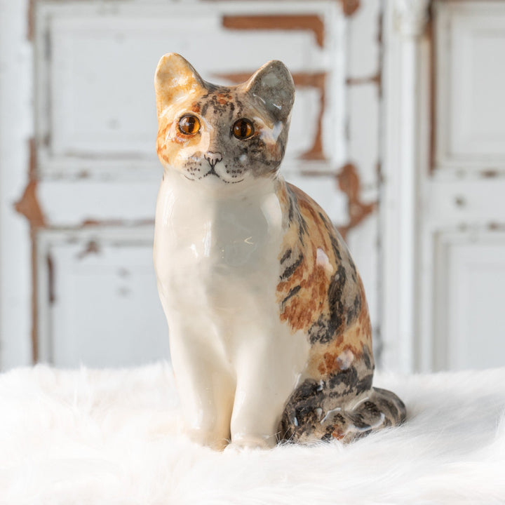 【Winstanley Cat ウィンスタンレイ キャット】じっと観察するような表情が印象的 キャリコタビー 三毛トラ猫 /25L