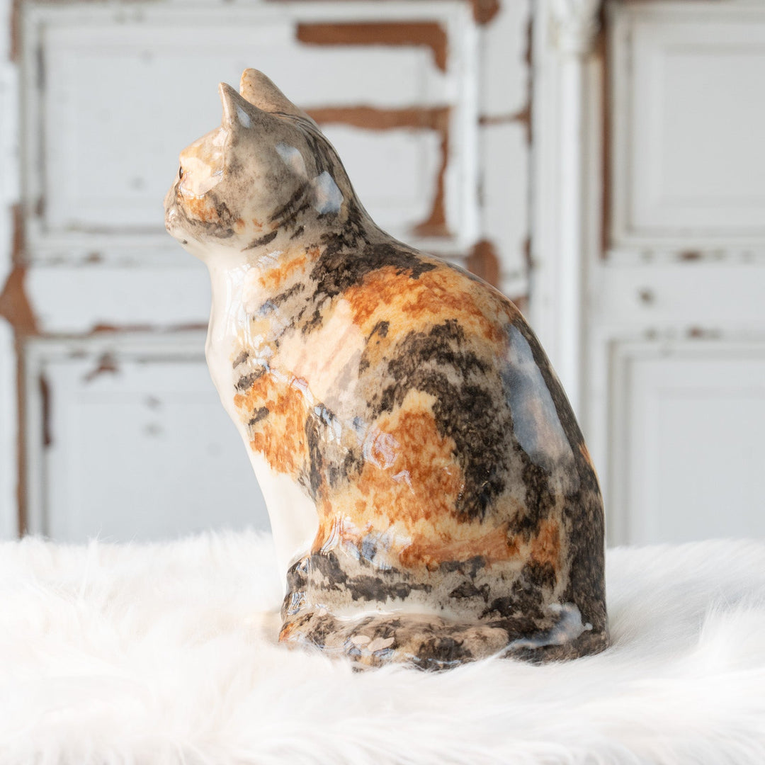 【Winstanley Cat ウィンスタンレイ キャット】じっと観察するような表情が印象的 キャリコタビー 三毛トラ猫 /25L