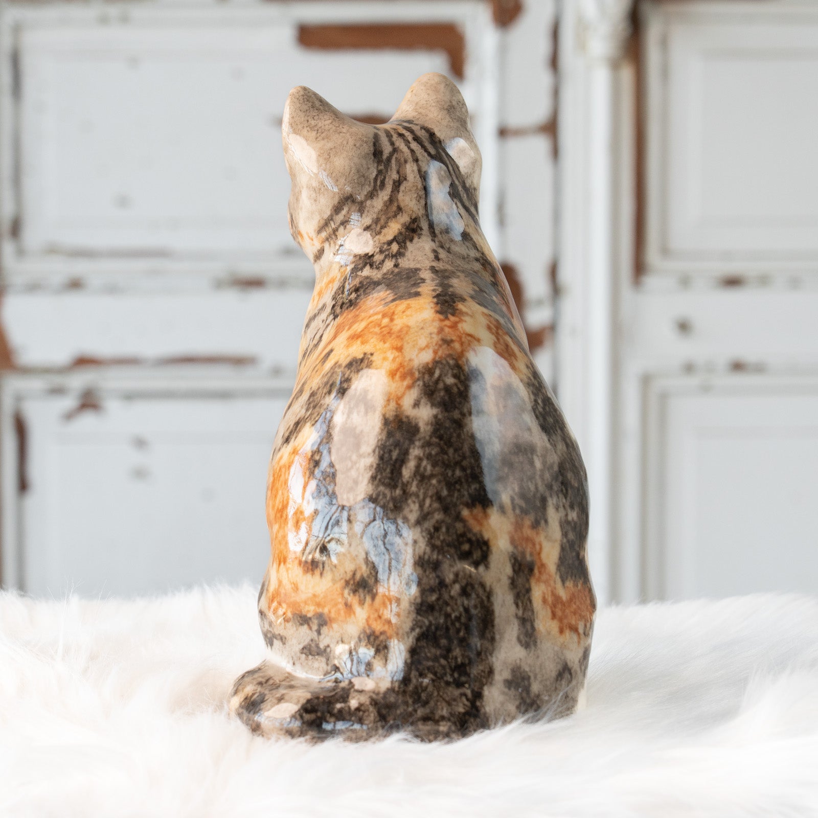 Winstanley Cat ウィンスタンレイ キャット】じっと観察するような表情
