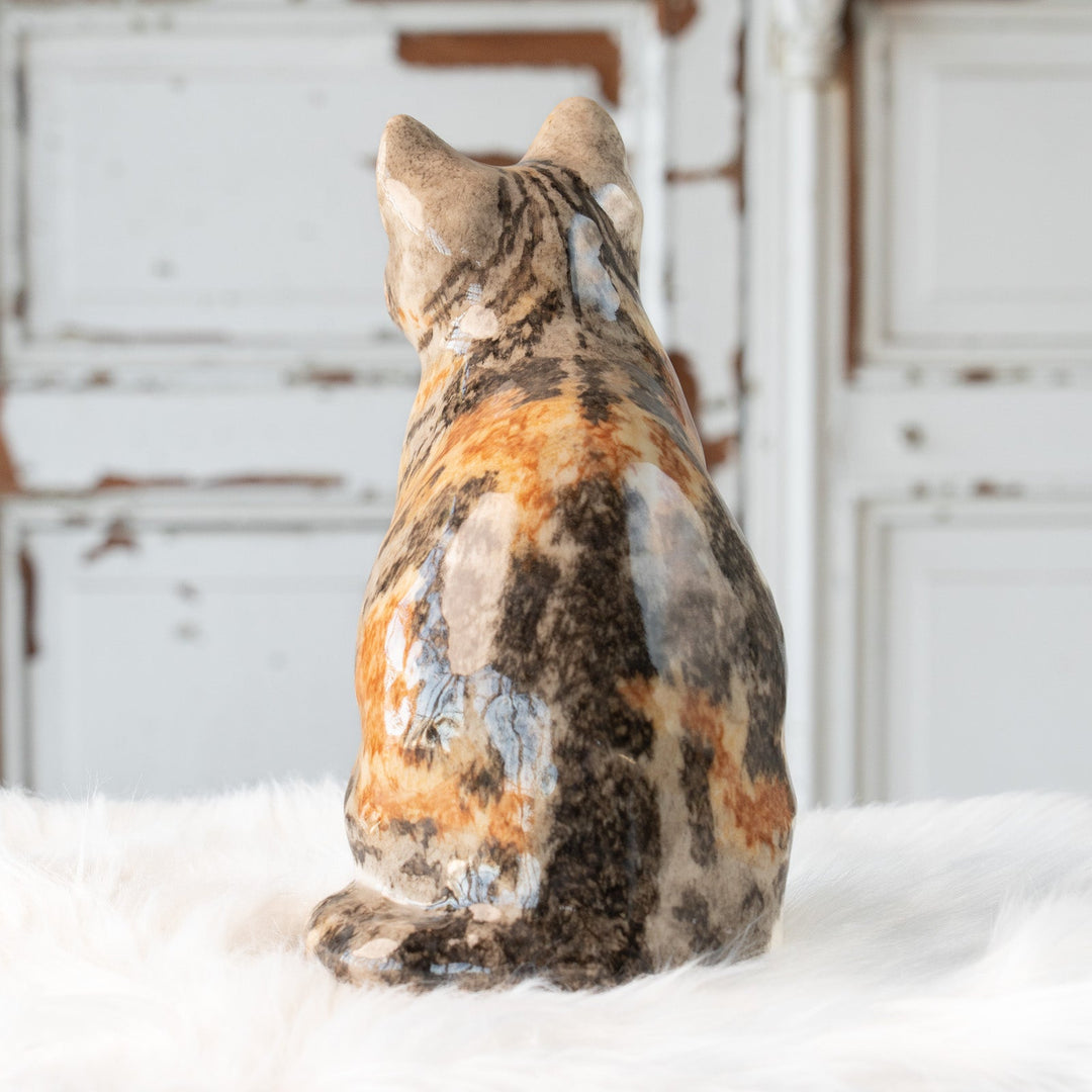 【Winstanley Cat ウィンスタンレイ キャット】じっと観察するような表情が印象的 キャリコタビー 三毛トラ猫 /25L