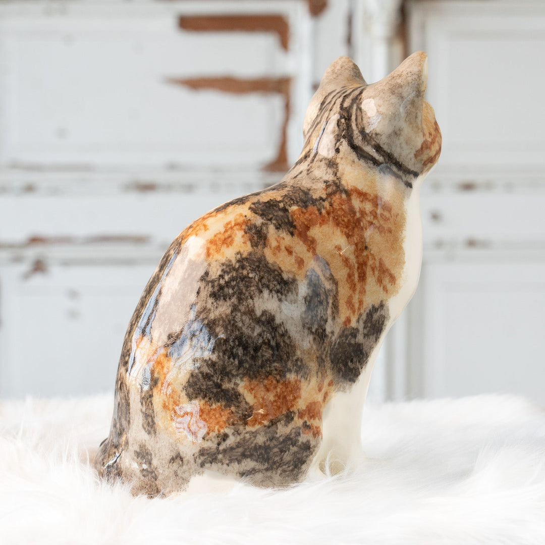 【Winstanley Cat ウィンスタンレイ キャット】じっと観察するような表情が印象的 キャリコタビー 三毛トラ猫 /25L