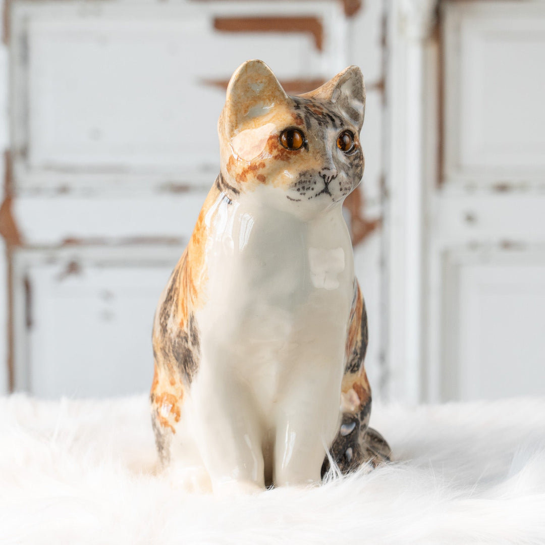 【Winstanley Cat ウィンスタンレイ キャット】じっと観察するような表情が印象的 キャリコタビー 三毛トラ猫 /25L