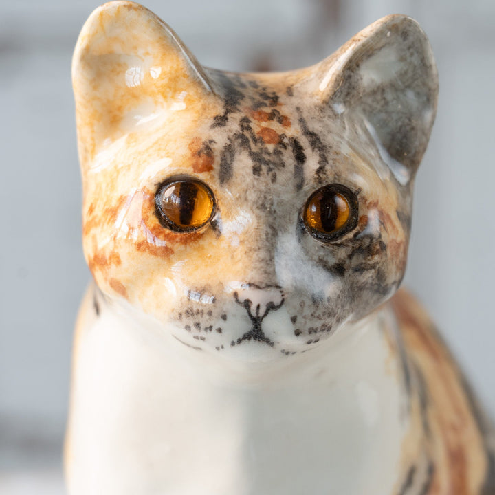 【Winstanley Cat ウィンスタンレイ キャット】じっと観察するような表情が印象的 キャリコタビー 三毛トラ猫 /25L