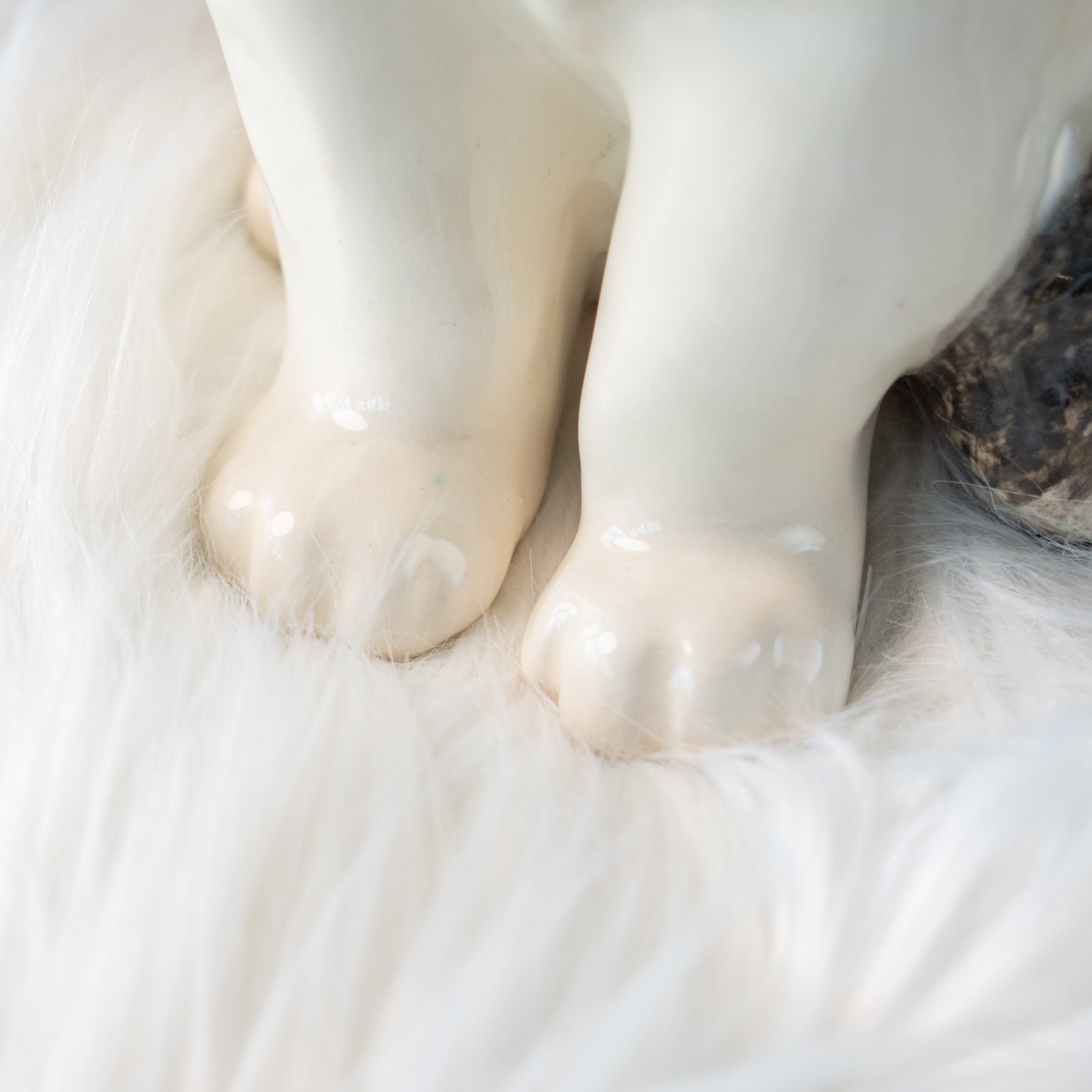 Winstanley Cat ウィンスタンレイ キャット】じっと観察するような表情