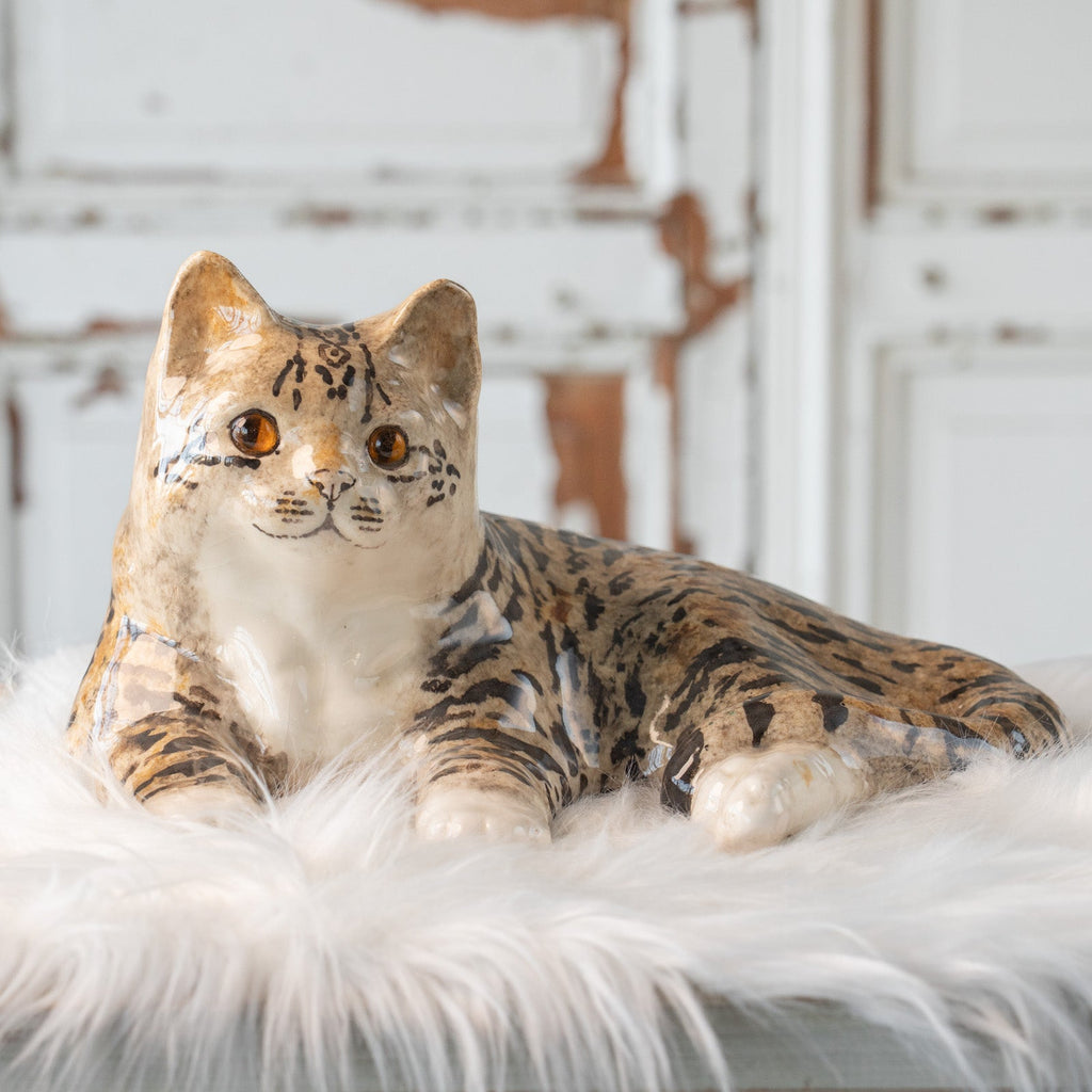 Winstanley Cat ウィンスタンレイ キャット】凛とした表情で風格のある