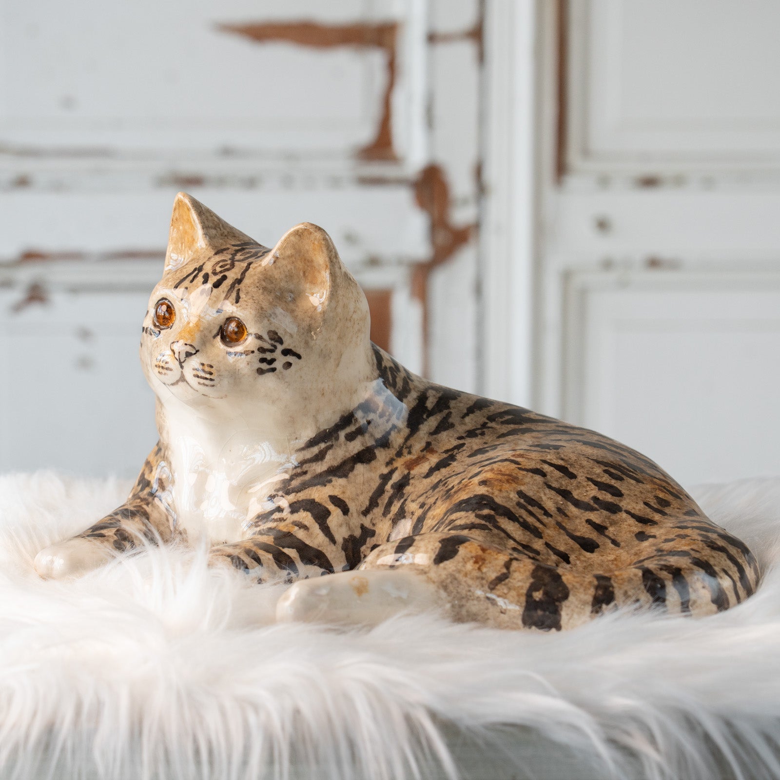 Winstanley Cat ウィンスタンレイ キャット】凛とした表情で風格のある