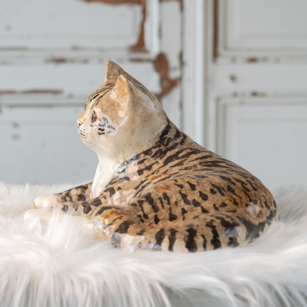 【Winstanley Cat ウィンスタンレイ キャット】凛とした表情で風格のある佇まい ブラウンタビー キジトラ猫 /25L