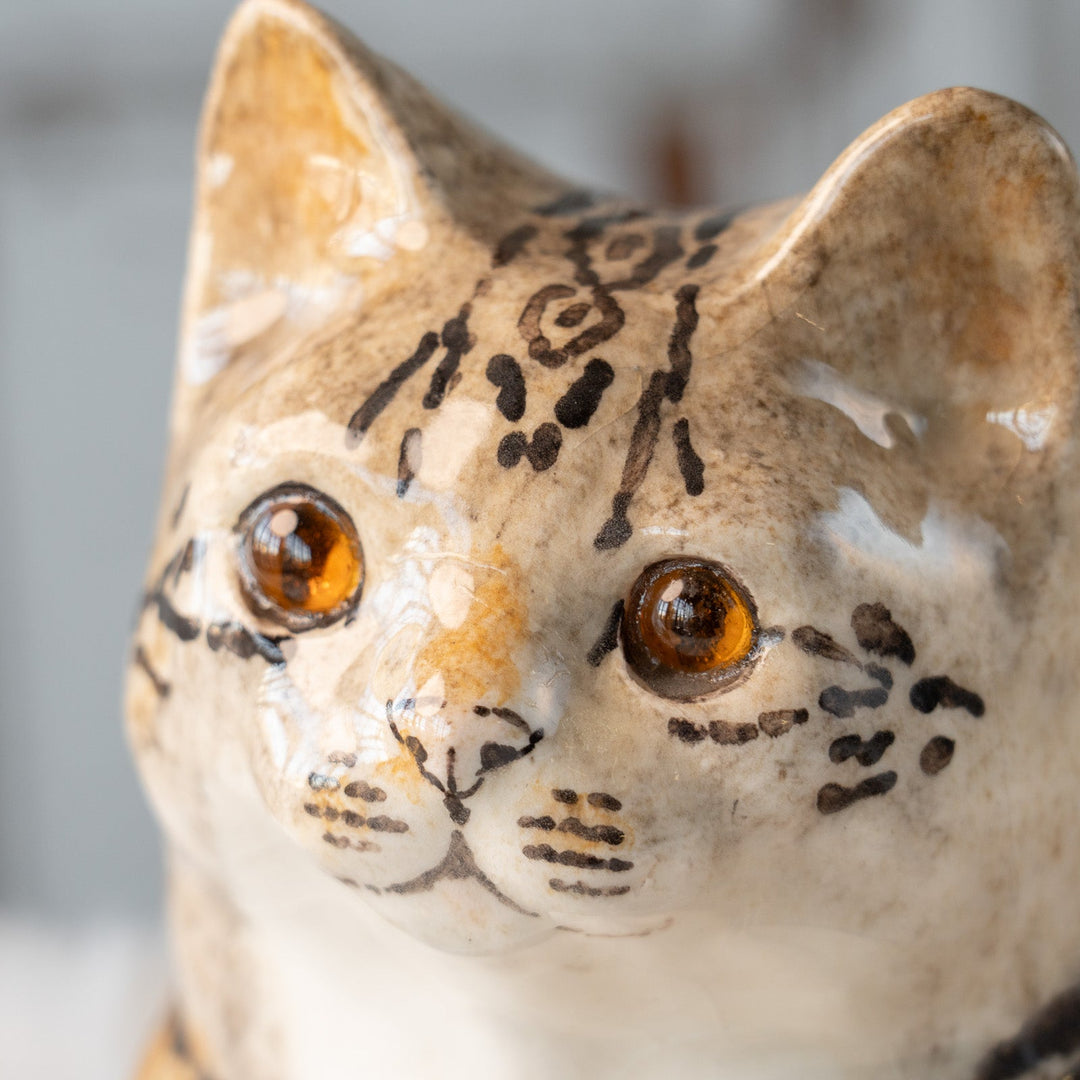 【Winstanley Cat ウィンスタンレイ キャット】凛とした表情で風格のある佇まい ブラウンタビー キジトラ猫 /25L